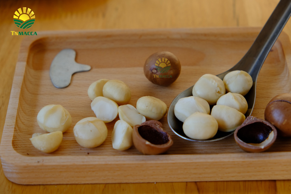 Giá hạt macca đã tách vỏ ngon bóc sẵn đóng hộp tại vinmart hà nội